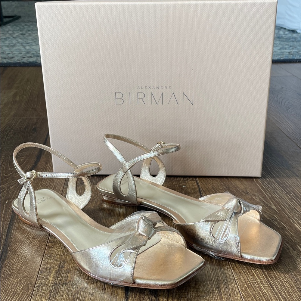 Alexandre Birman Clarita eyelet flats NWT